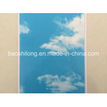 Classic Hotstamp 25cm 7mm 7.5mm 8mm PVC Ceiling Panel Hot Items